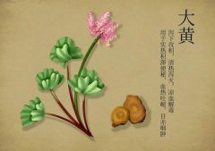 中藥界的CP，十組對(duì)藥應(yīng)用技巧